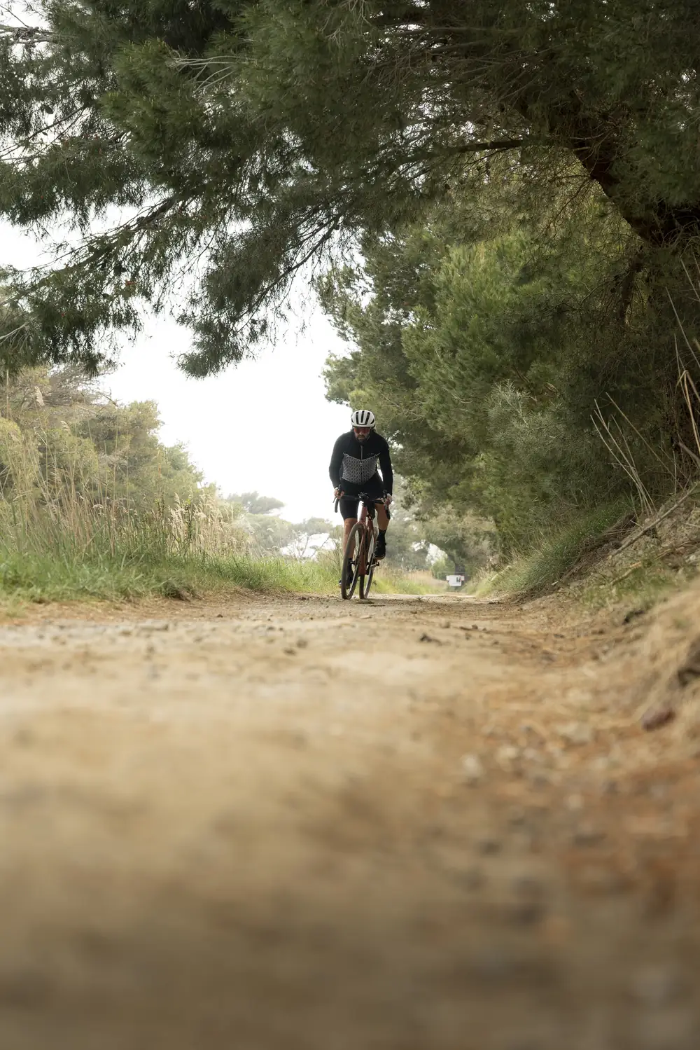 Un participant sur une trace gravel, dans un tunnel de pins